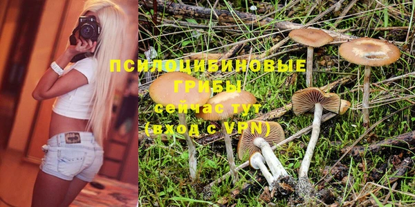 PSILOCYBIN Алексеевка