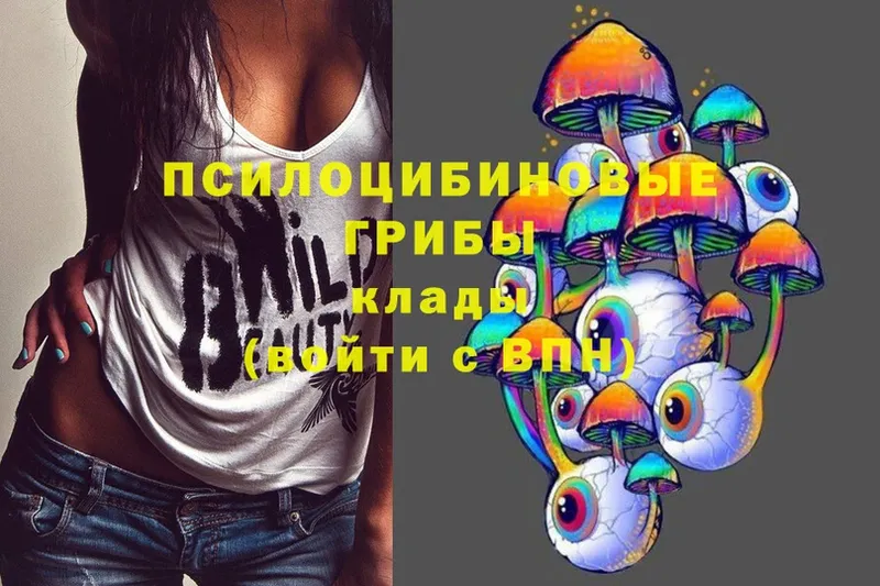 купить   Верещагино  Псилоцибиновые грибы MAGIC MUSHROOMS 